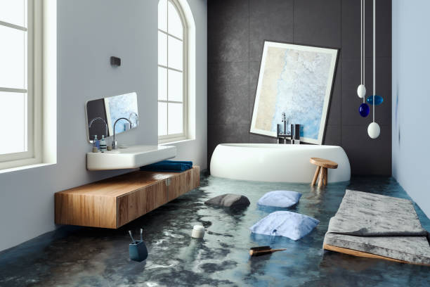 Best Mold removal after water damage  in Lake Park, FL