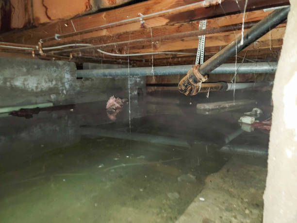 Best Water damage restoration near me  in Lake Park, FL