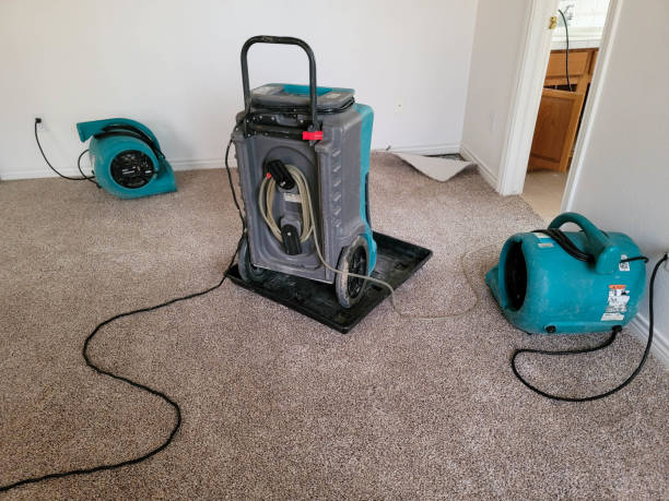 Best Residential water damage restoration  in Lake Park, FL