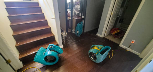 Best Sewage cleanup and water damage restoration  in Lake Park, FL