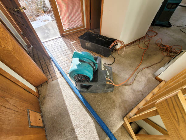Best Water damage contractors near me  in Lake Park, FL