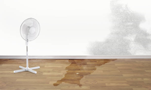 Best Water damage restoration near me  in Lake Park, FL