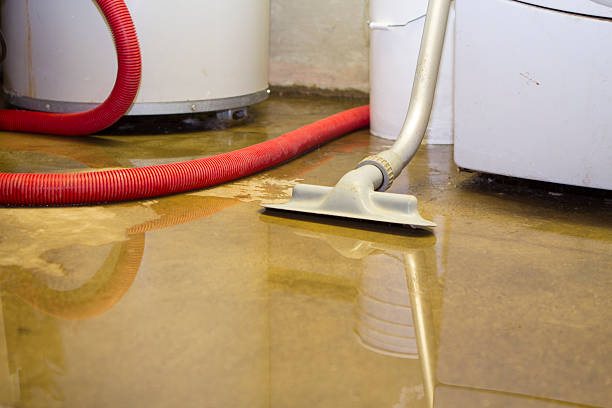 Best Water damage restoration services  in Lake Park, FL