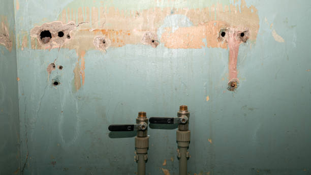 Best Flooded house restoration  in Lake Park, FL