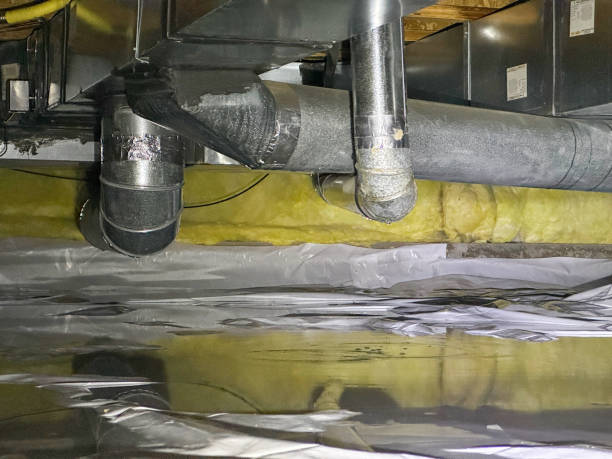 Best 24-hour water damage restoration  in Lake Park, FL