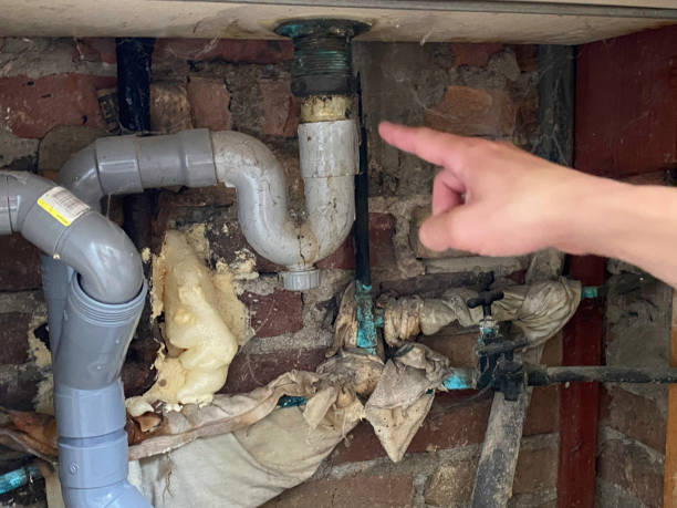 Best Basement water damage restoration  in Lake Park, FL