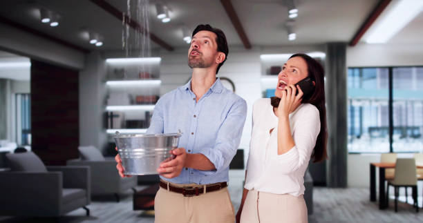 Best Local water damage restoration  in Lake Park, FL